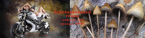 мескалин Новый Уренгой